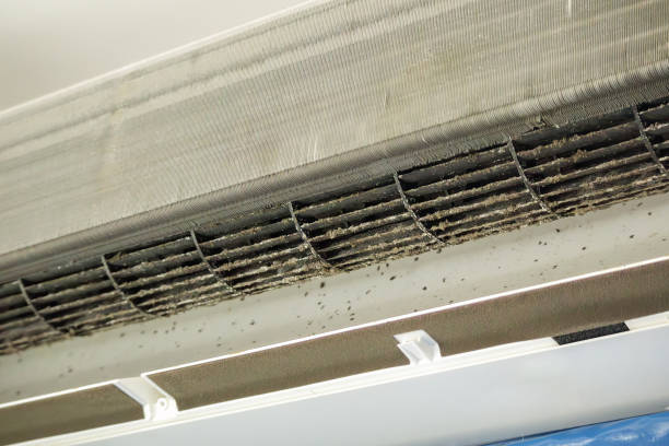 Best Ductwork Odor Removal in Granite Shoals, TX